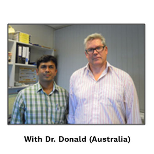 Joint Replacement in vadodara